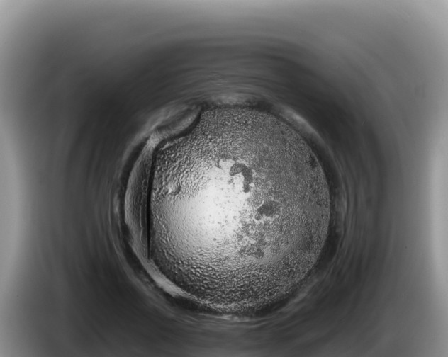 X0000086260734200704051302