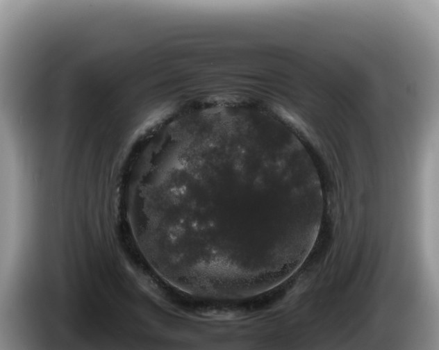X0000086260735200704051302