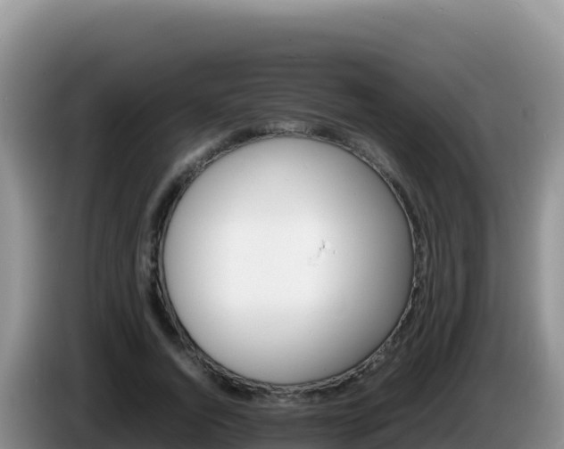 X0000086260736200704051302