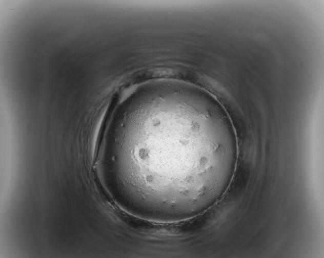X0000086260737200704051302