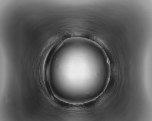 X0000086260738200704051302