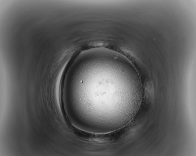 X0000086260739200704051302