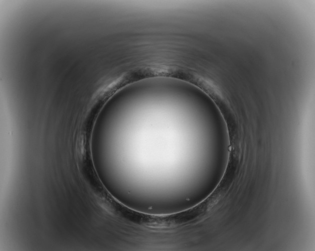 X0000086260740200704051302