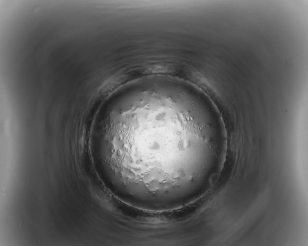 X0000086260741200704051302