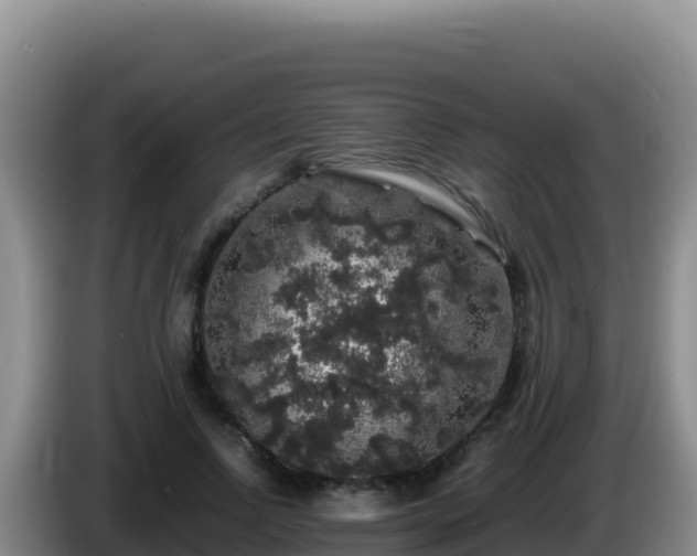 X0000086260742200704051302