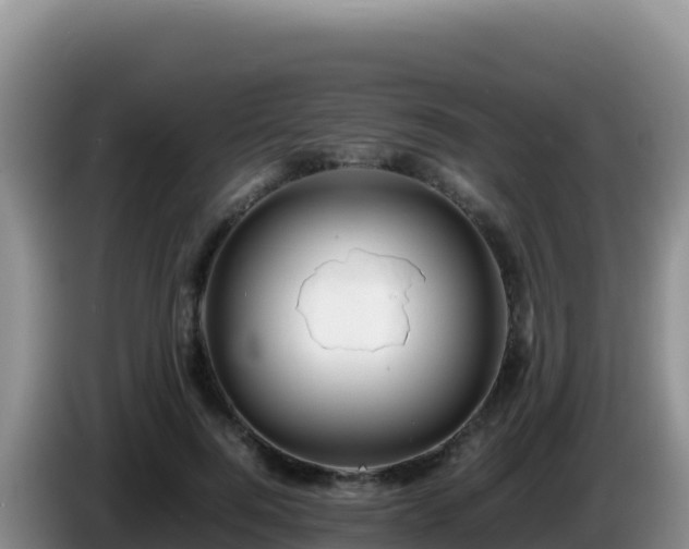 X0000086260744200704051302