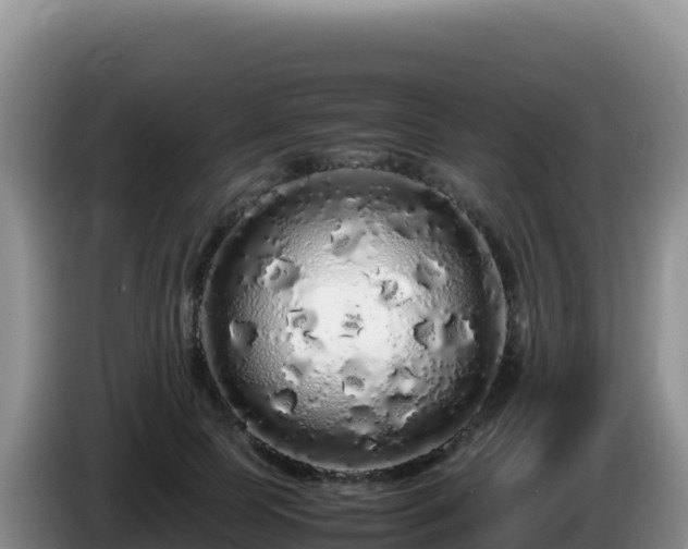 X0000086260745200704051302