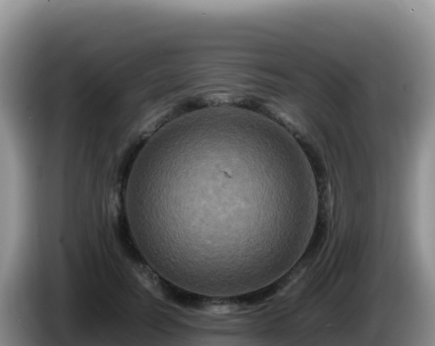 X0000086260746200704051302