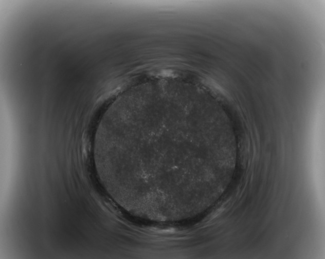 X0000086260747200704051302