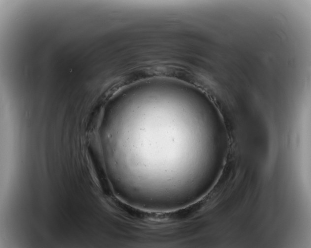 X0000086260749200704051302