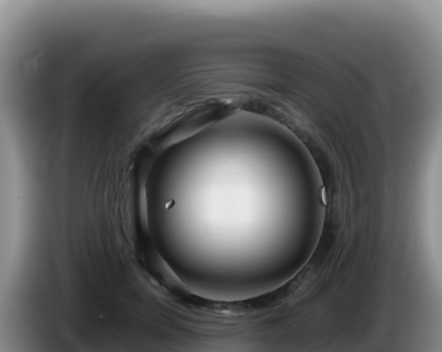 X0000086260750200704051302