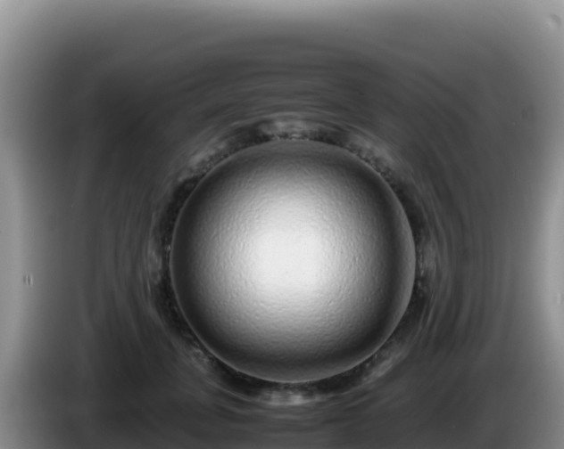 X0000086260751200704051302