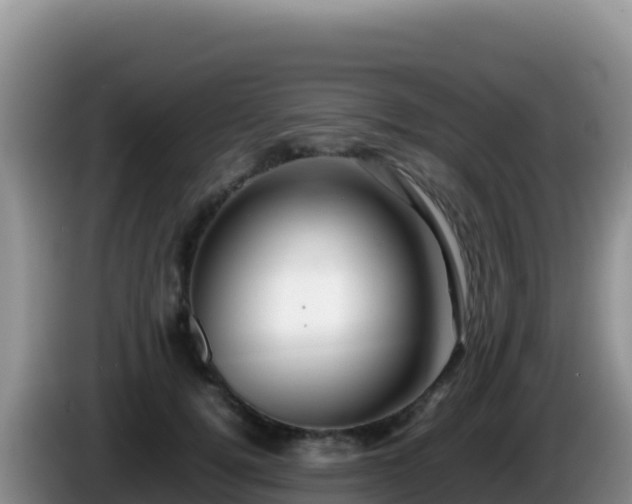 X0000086260752200704051302