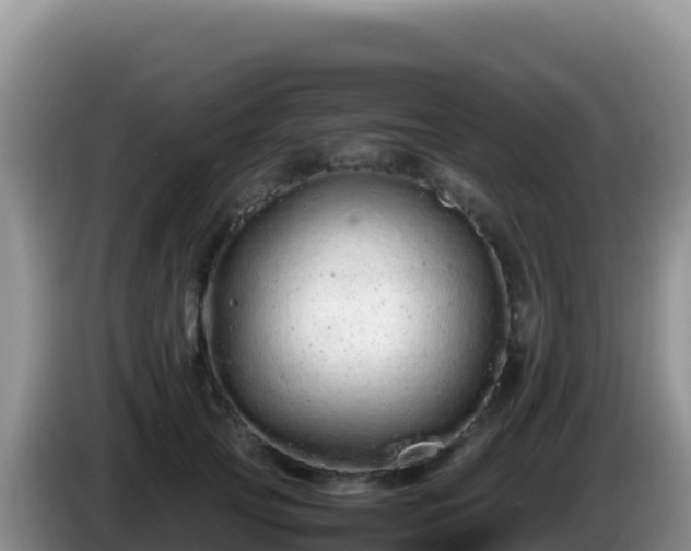 X0000086260753200704051302