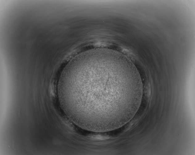 X0000086260755200704051302