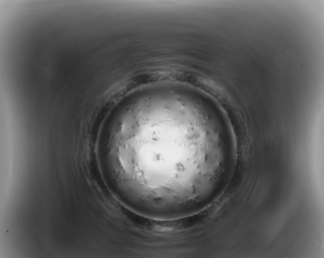 X0000086260757200704051302