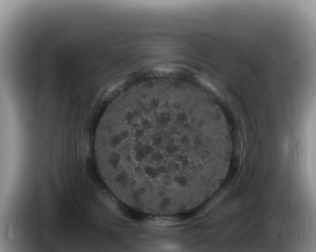 X0000086260758200704051302