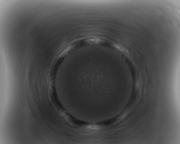 X0000086260759200704051302