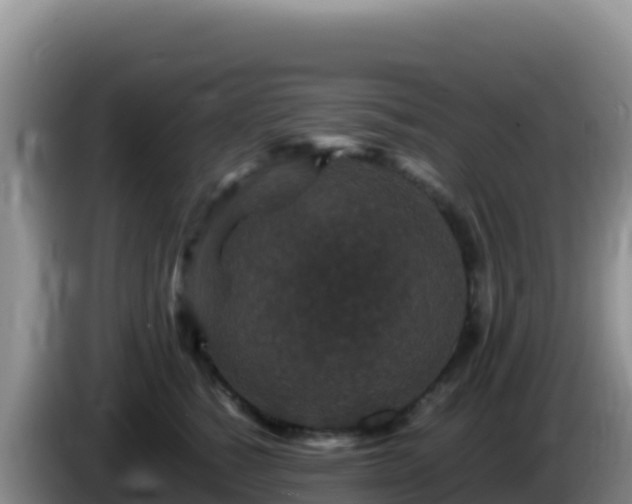 X0000086260760200704051302