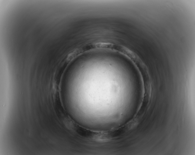 X0000086260761200704051302