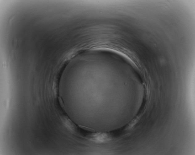 X0000086260762200704051302