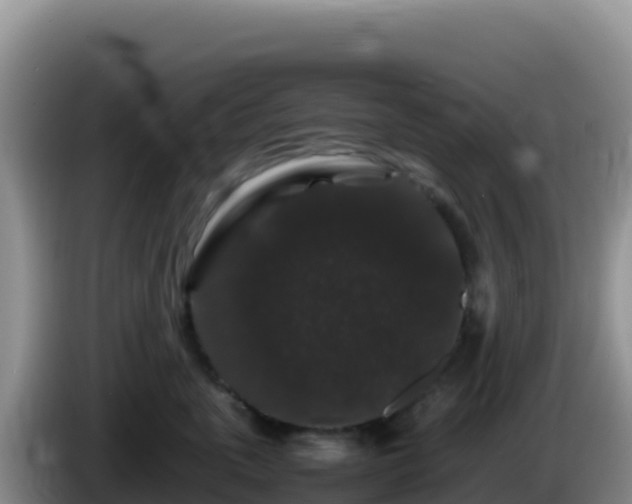 X0000086260763200704051302