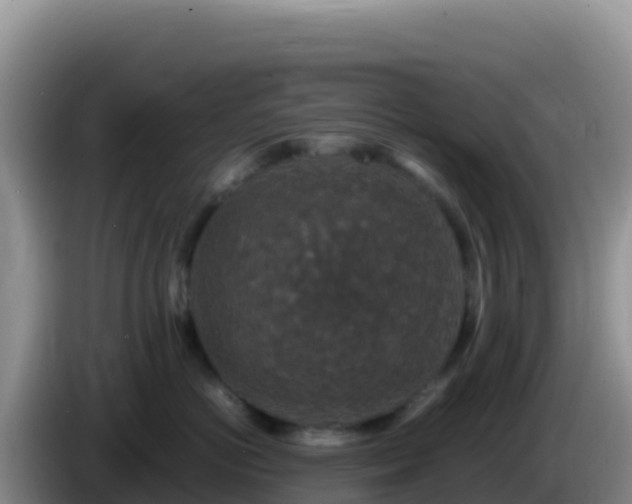 X0000086260766200704051302