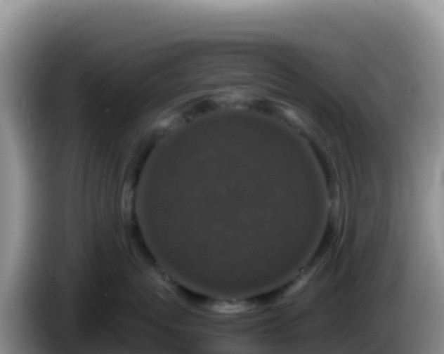 X0000086260767200704051302