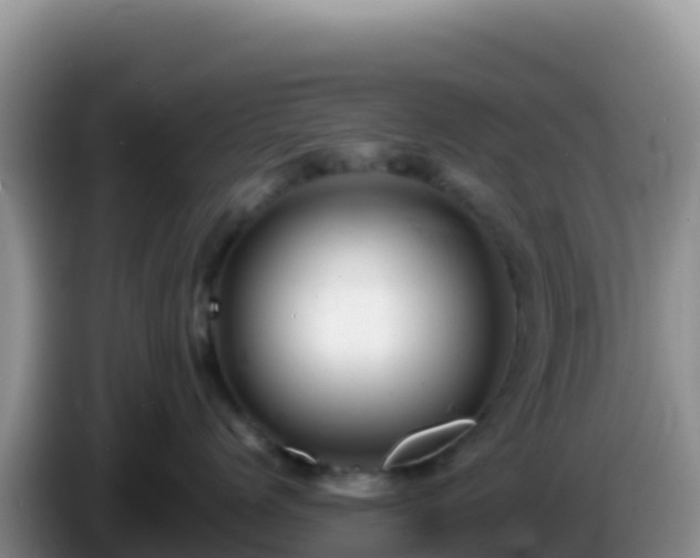 X0000086260768200704051302
