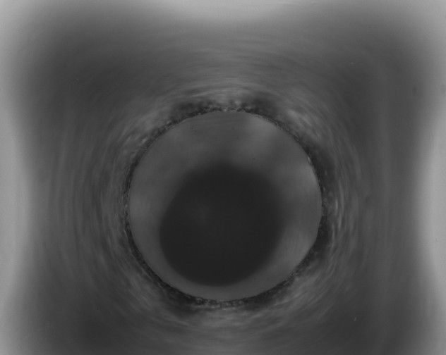 X0000086260769200704051302