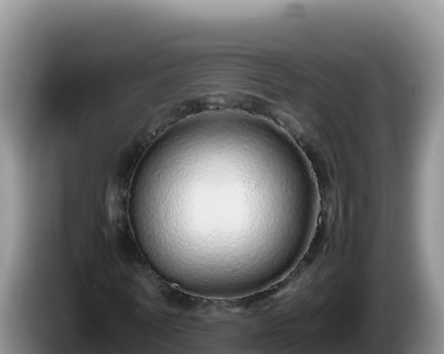 X0000086260770200704051302