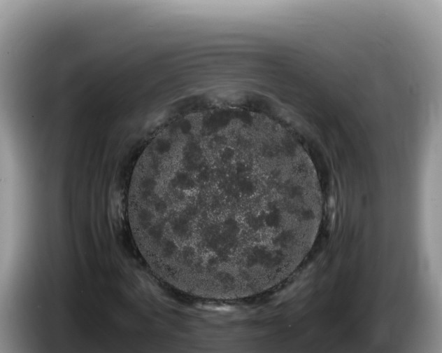 X0000086260772200704051302