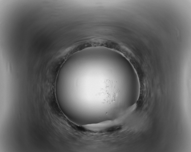 X0000086260773200704051302