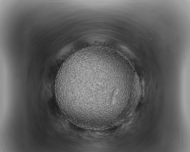 X0000086260774200704051301