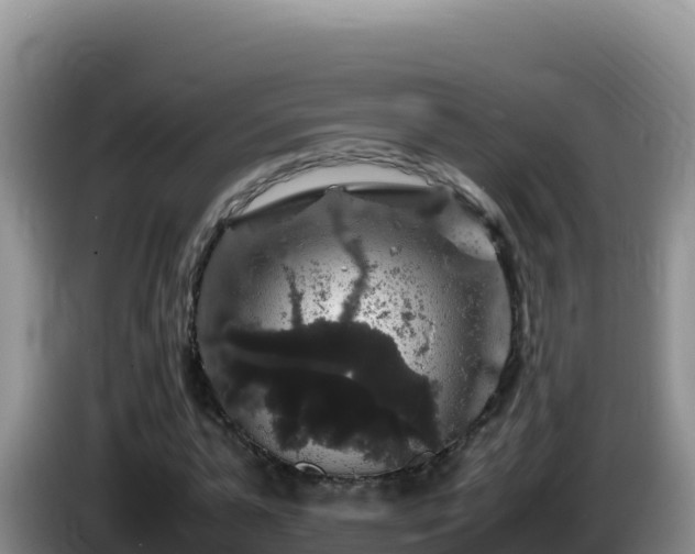 X0000086260775200704051301