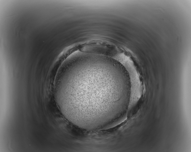 X0000086260776200704051301