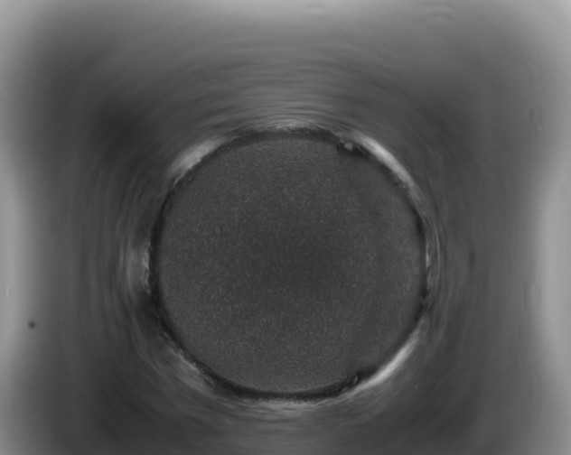 X0000086260777200704051301