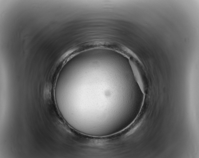 X0000086260778200704051301