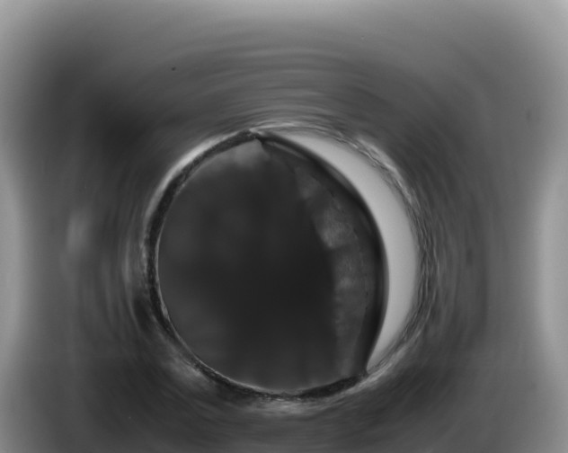 X0000086260779200704051301