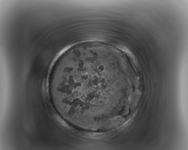 X0000086260780200704051301