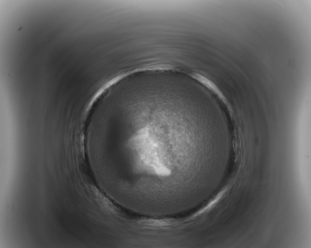 X0000086260781200704051301
