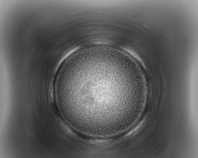 X0000086260782200704051301