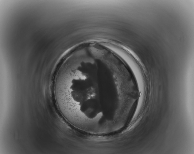 X0000086260783200704051301