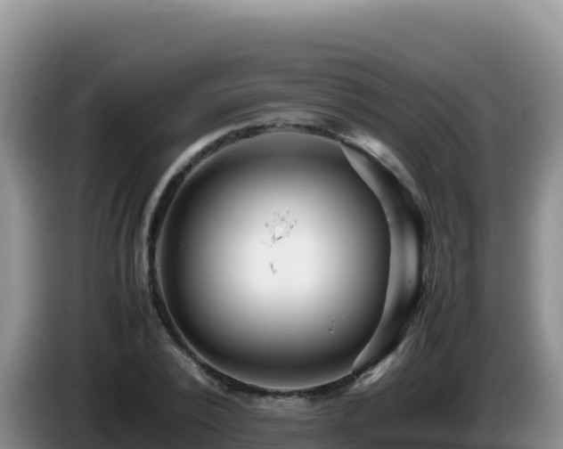 X0000086260784200704051301