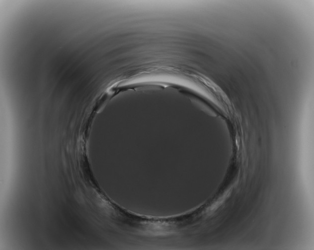 X0000086260785200704051301