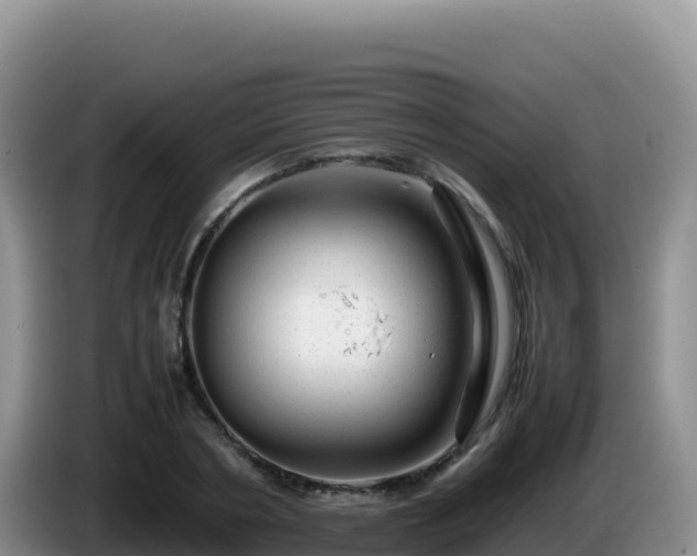 X0000086260786200704051301