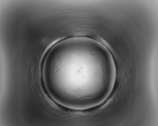 X0000086260787200704051301