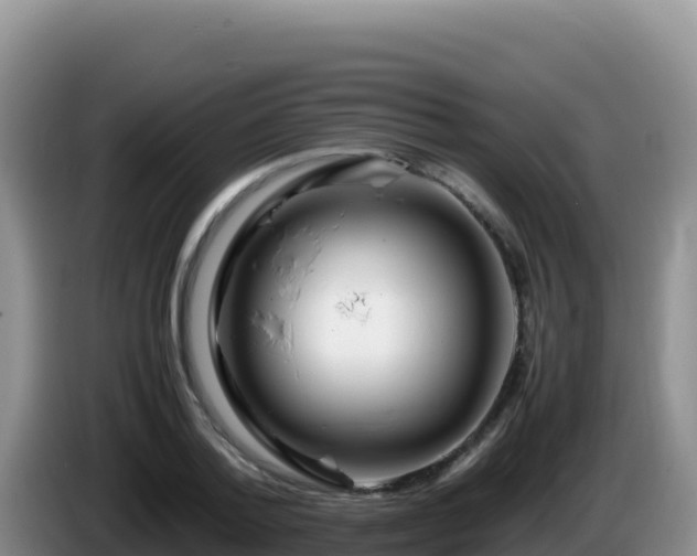 X0000086260788200704051301
