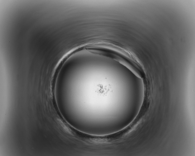 X0000086260789200704051301