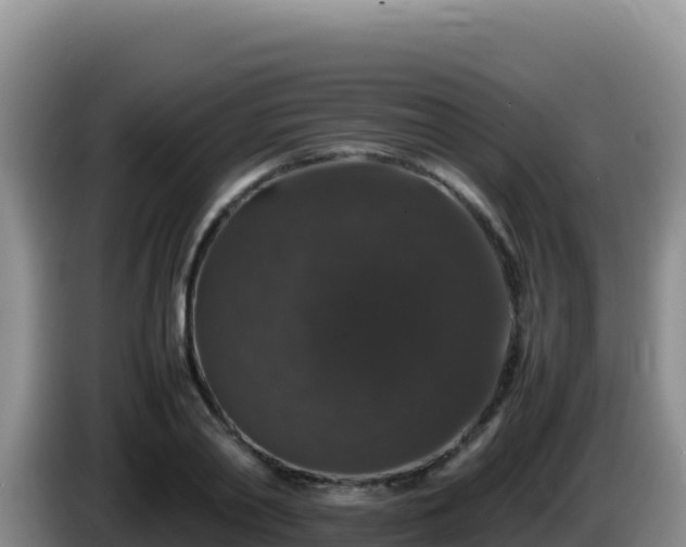 X0000086260790200704051301